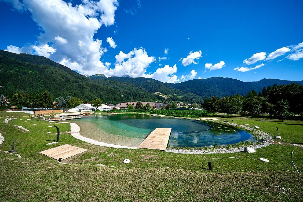 Chalet Mountain Plaza - Apt Greenvalley Pinzolo Exterior photo